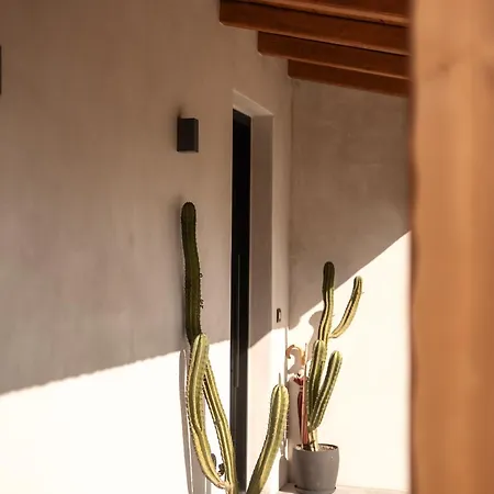 Vila Yliessa - Luxury Pool Surrounded By Nature Drakas